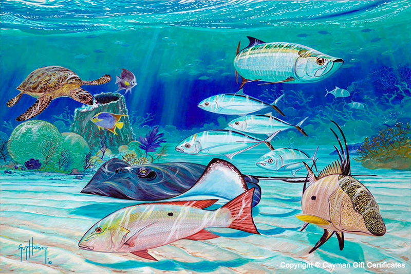 Guy Harvey Reef Patrol